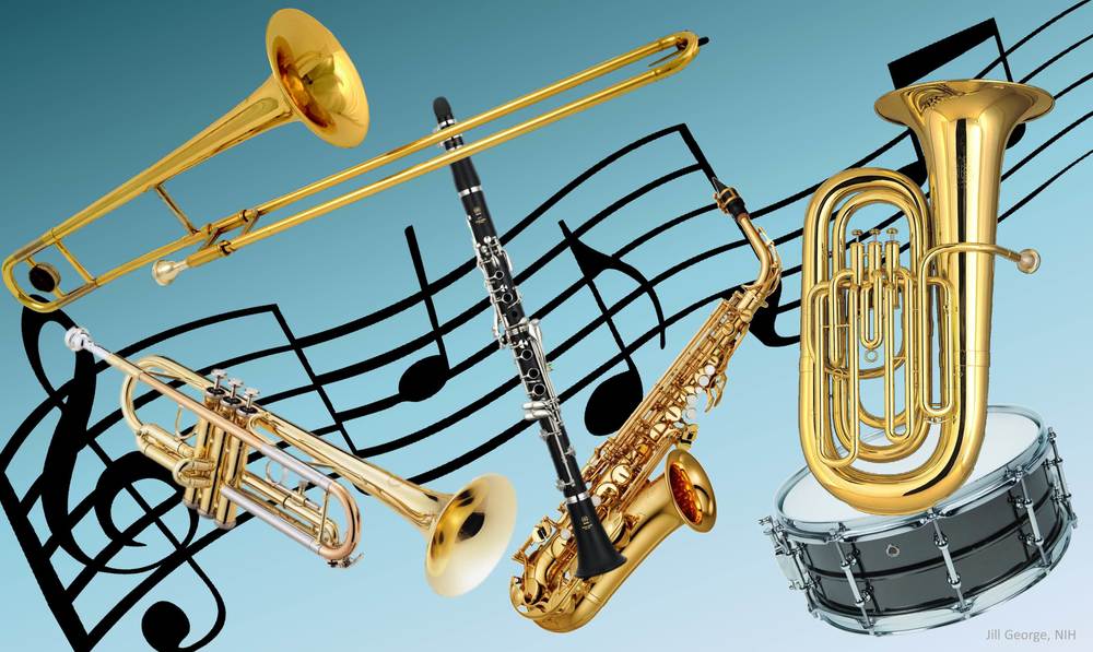 Beginner Band Information Night