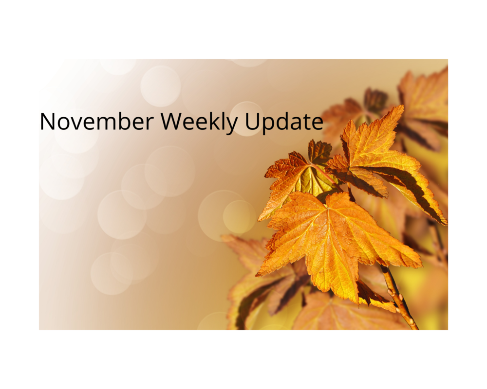 November Weekly update