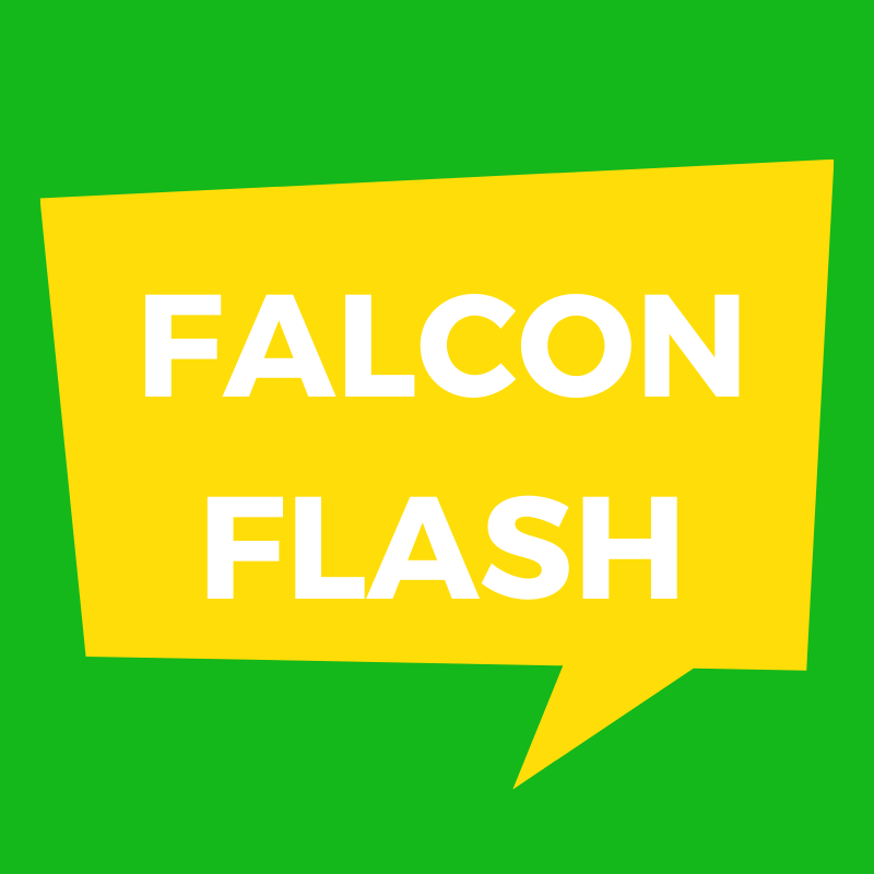 Falcon Flash
