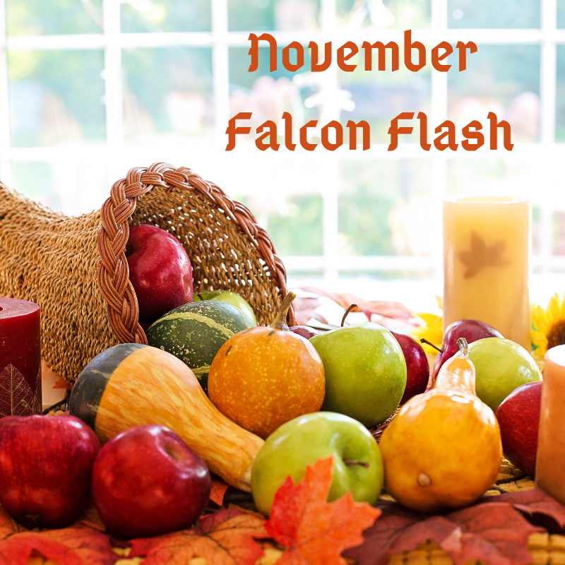 Falcon Flash - November  2020