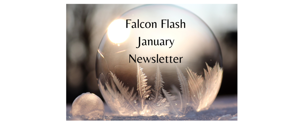 January Falcon Flash