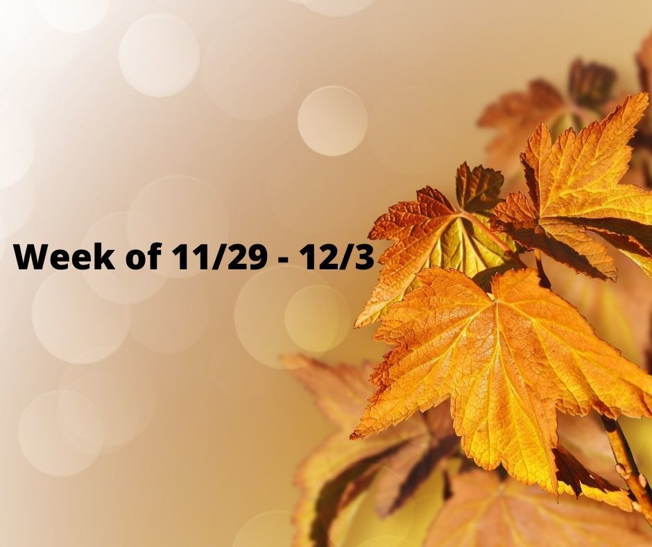 Week of 11/19 - 12/3