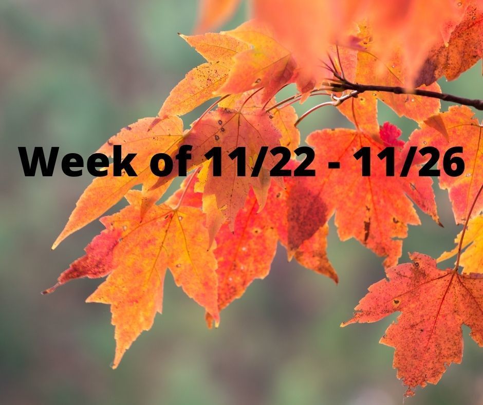 WEEKLY NEWSLETTER 11/22 - 11/26