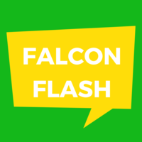 Falcon Flash